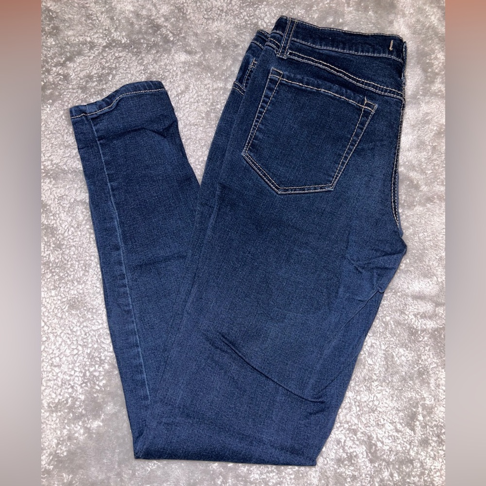 Altard State Blue Jeggings